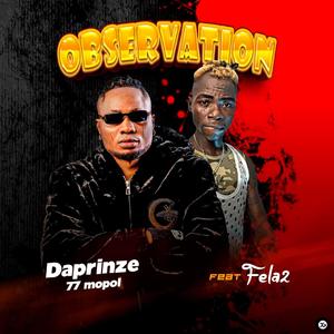 Observation (feat. Fela2)