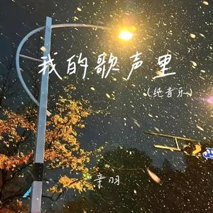 我的歌声里 (纯音乐)