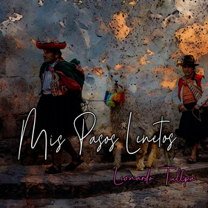 Mis Pasos Lentos