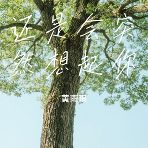 还是会突然想起你