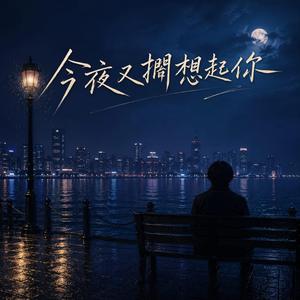 今夜又擱想起你