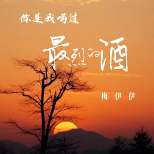 你是我喝过最烈的酒