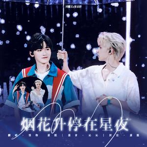 烟花升停在星夜