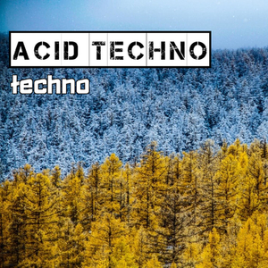 Acid Techno