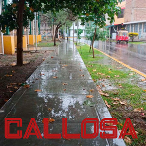 Callosa