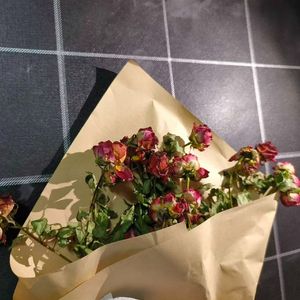 逃离喧嚣的夏日