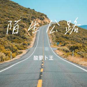 陌生公路