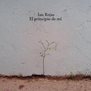 Soñándote