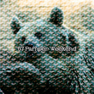 睡眠制造者样品