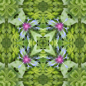 Problems abound, I can't seem to solve them