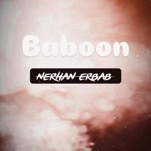 Baboon