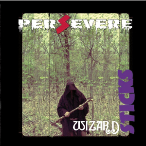 Architecture of Aggression