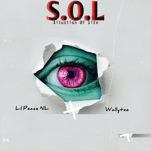 S.O.L (Situation of Life)