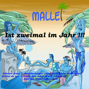 Hey, wir woll'n die Eisbären seh'n (Original Mix)