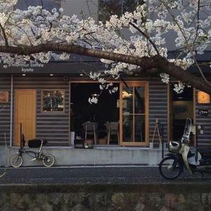 后来的你在哪（cover：树泽）片段