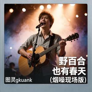 野百合也有春天 (烟嗓现场版)
