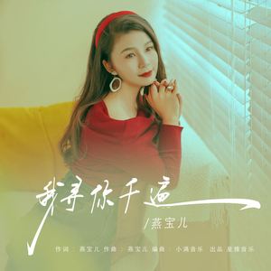 我寻你千遍 (DJ彭锐版)