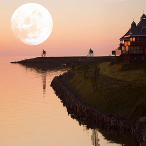 달밤 그리고 만월