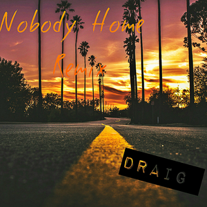 Nobody Home (Remix)