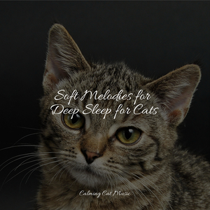 Tides of Delta Waves