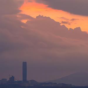 想自由-（女声翻自林宥嘉）（翻自 ️）