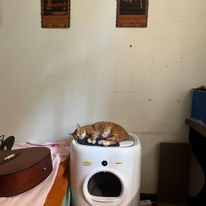 リテラチュア-魔女之旅-Piano Ver.