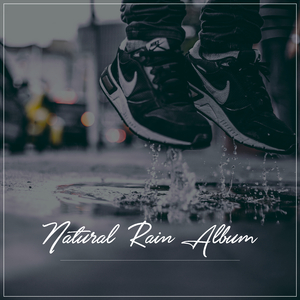 Delicate Rain Chatter