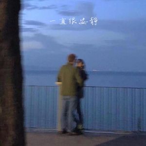一直很安静 口琴版