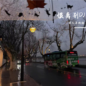 恨离别（零几年的傲 remix）