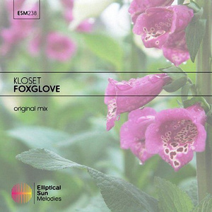 Foxglove (Original mix)
