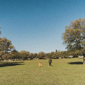 Bad News (feat. Niño Sergio)