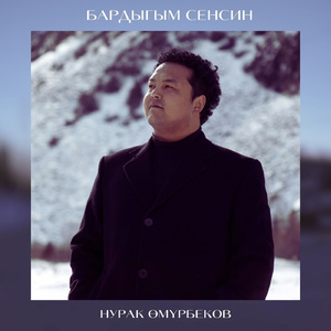 Бардыгым сенсин