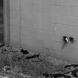 And It Was Also in My Mouth