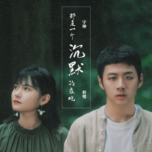 那是一个沉默的夜晚