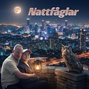 Nattfåglar