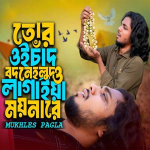 তোর ওই চাঁদ বদনে হলুদ ও লাগাইয়া ময়নারে
