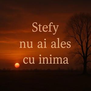 Nu ai ales cu inima