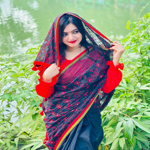 সাধের চাকরী একবার কইরা দেখ দিনর