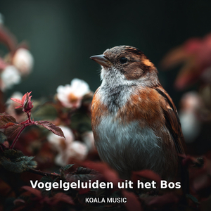 Ochtendlied van Bosvogels, Pt.3