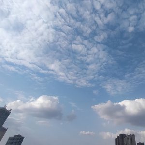 我愿一生为你等候