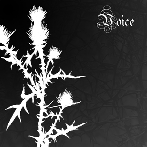 Voice