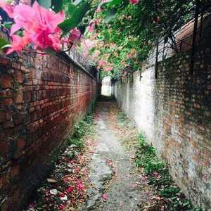 水浸 （头条新闻别版）