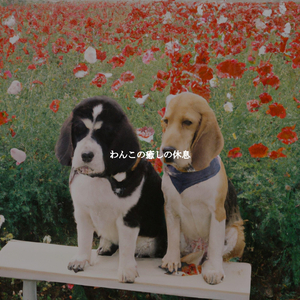 Quiet Ambience for Weekend Upgrades