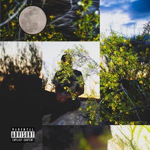 Suns Reflection (feat. Vadana)