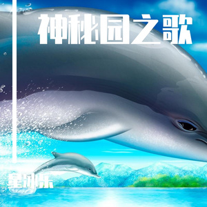 宋迪-神秘园之歌（星冰乐 remix）