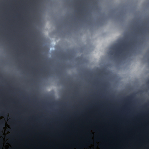 La Roue Du Chatîment