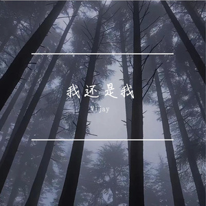 我还是我