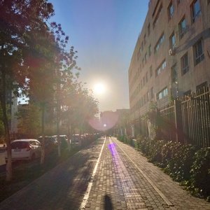 纸月沉入星河
