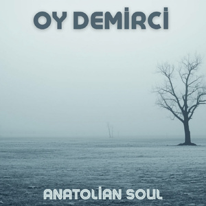 Oy Demirci