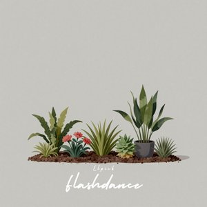 Flashdance